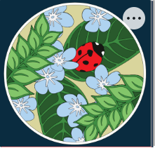 Design 1126 - Animals - Ladybug